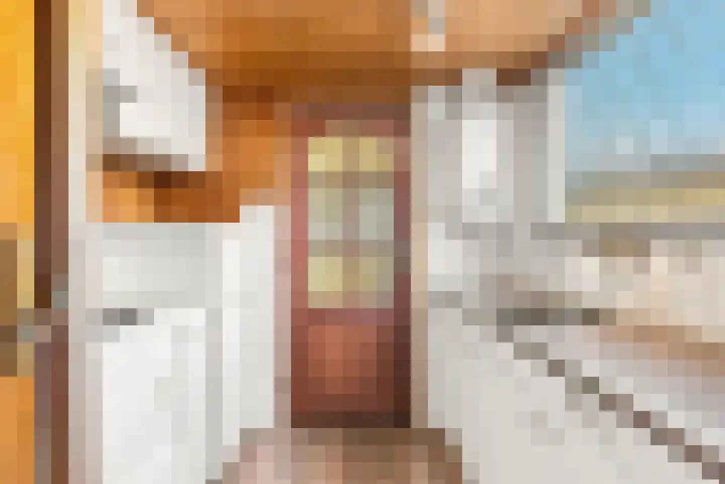 Schoutenstraat 62 Hoorn thumbnail 14
