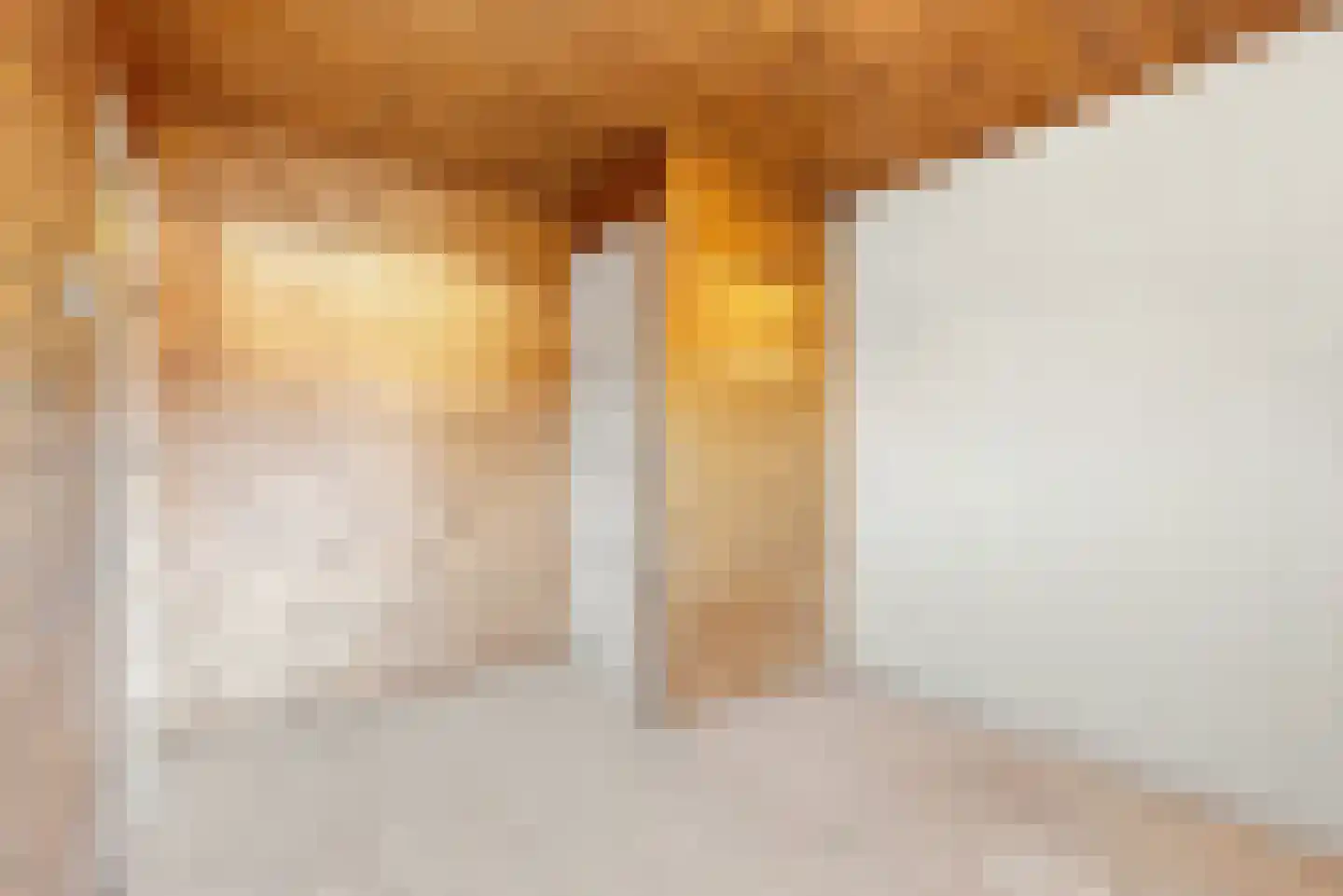 Schoutenstraat 62 Hoorn thumbnail 21