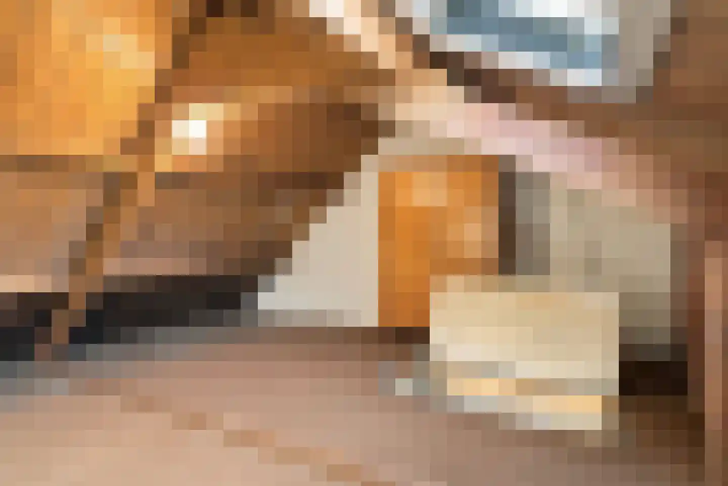 Schoutenstraat 62 Hoorn thumbnail 26