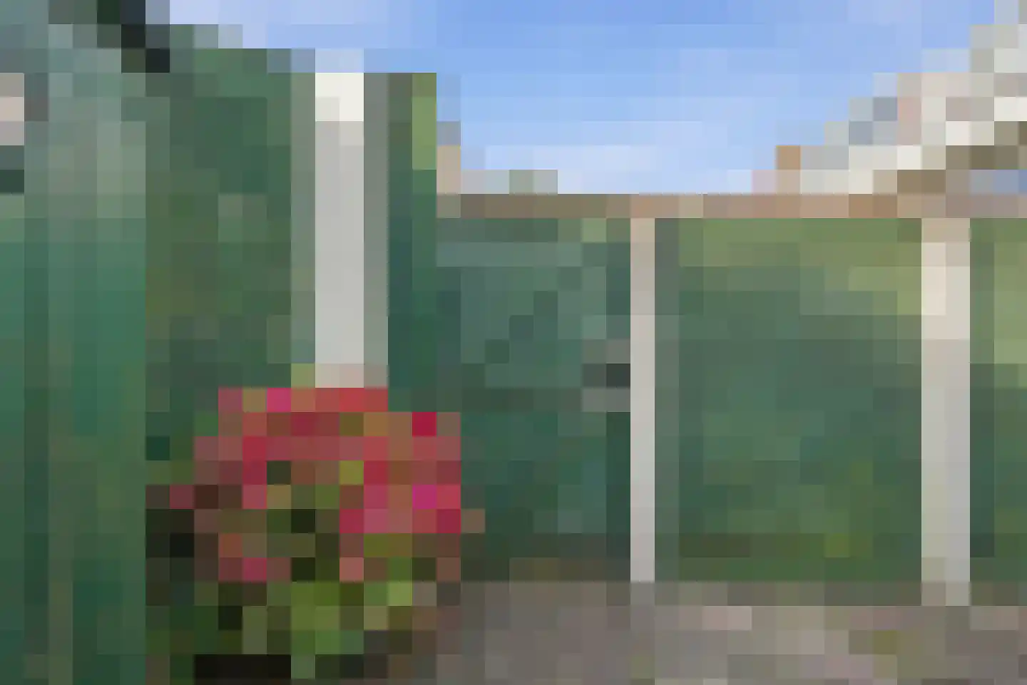 Schoutenstraat 62 Hoorn thumbnail 33