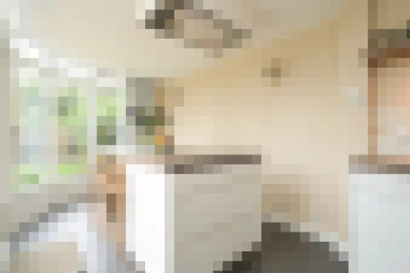 Schoutenstraat 64 Den Haag thumbnail 22