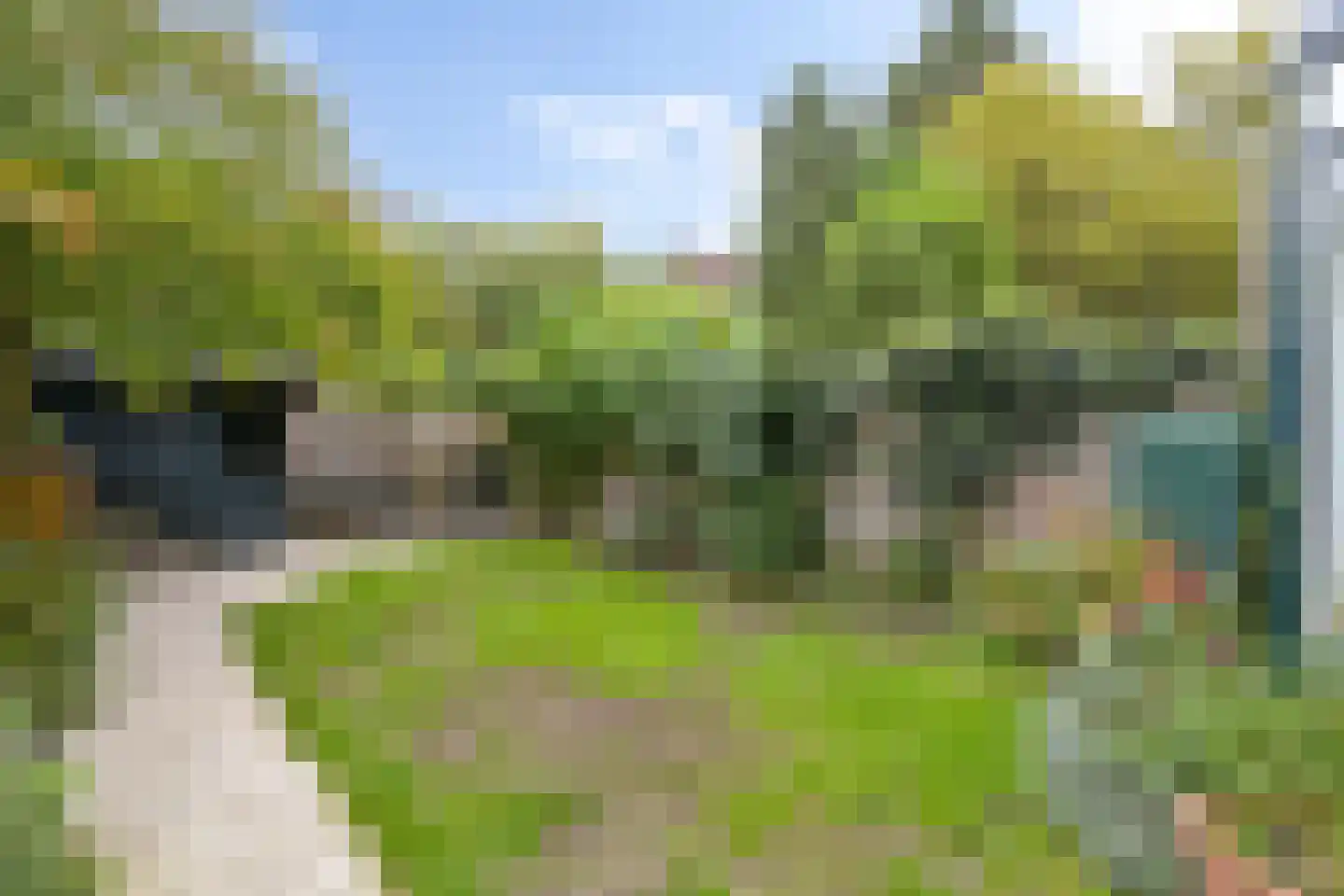 Schoutenstraat 64 Den Haag thumbnail 27
