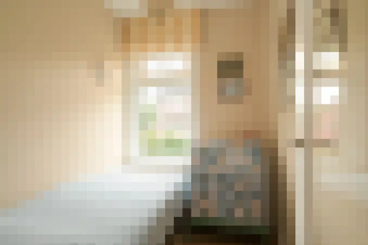 Schoutenstraat 64 Den Haag thumbnail 36