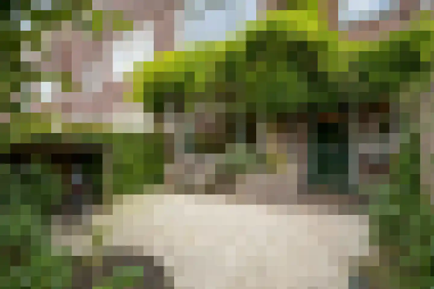 Schoutenstraat 64 Den Haag thumbnail 6
