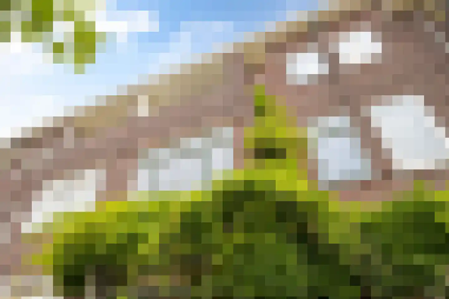 Schoutenstraat 64 Den Haag thumbnail 7