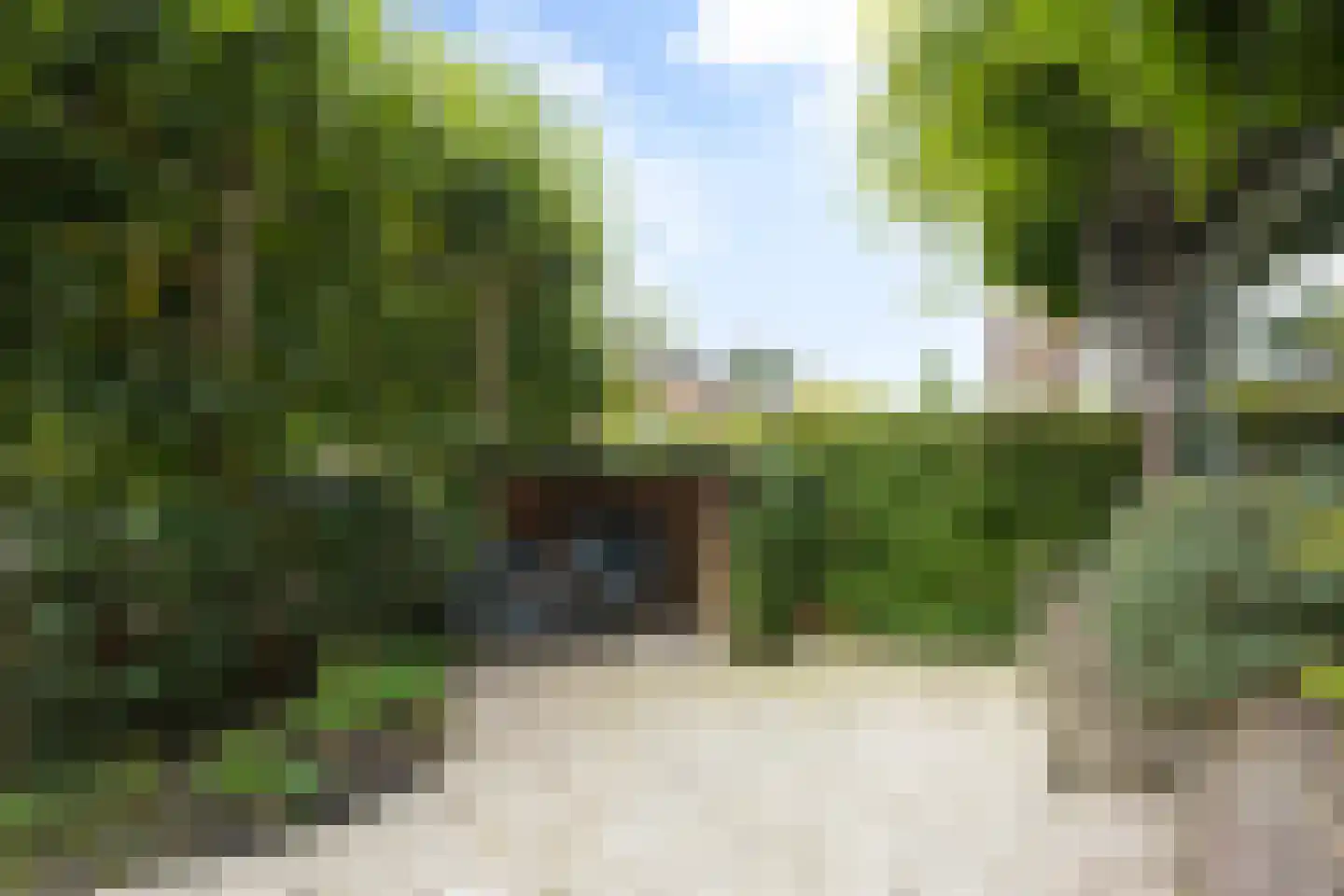 Schoutenstraat 64 Den Haag thumbnail 8