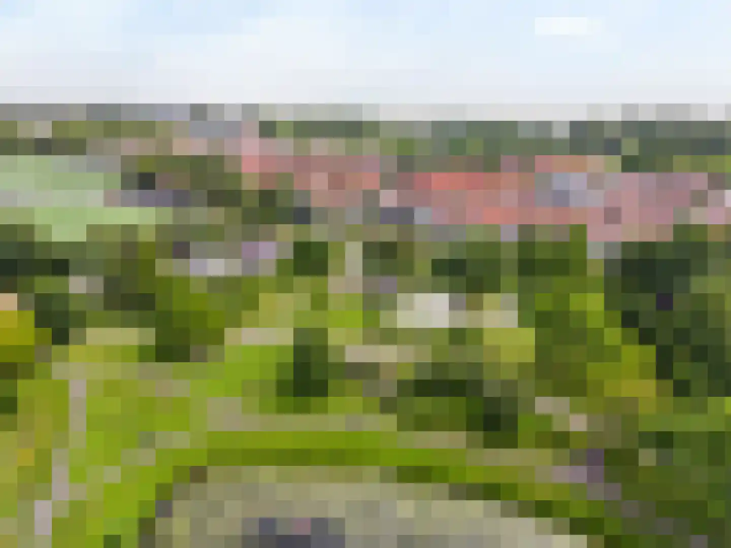Schoutenstraat 81 Hoorn thumbnail 32