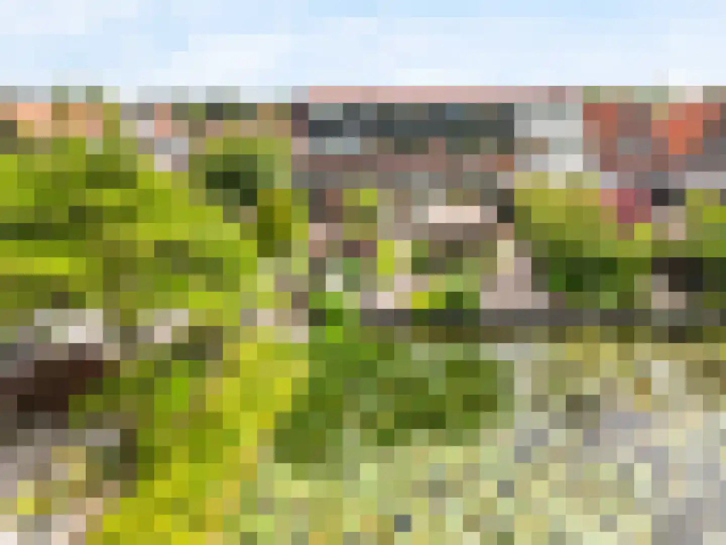 Schoutenstraat 81 Hoorn thumbnail 34