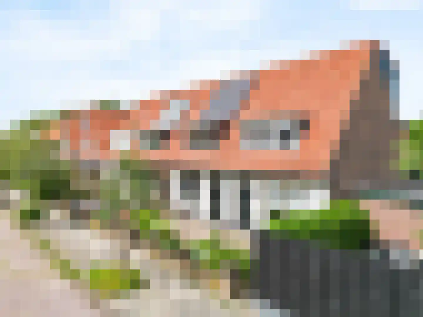 Schoutenstraat 81 Hoorn thumbnail 41