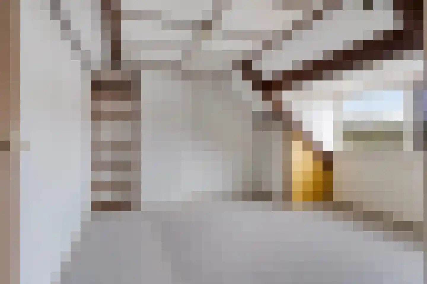 Schoutenveld 11 Oosterhout thumbnail 17