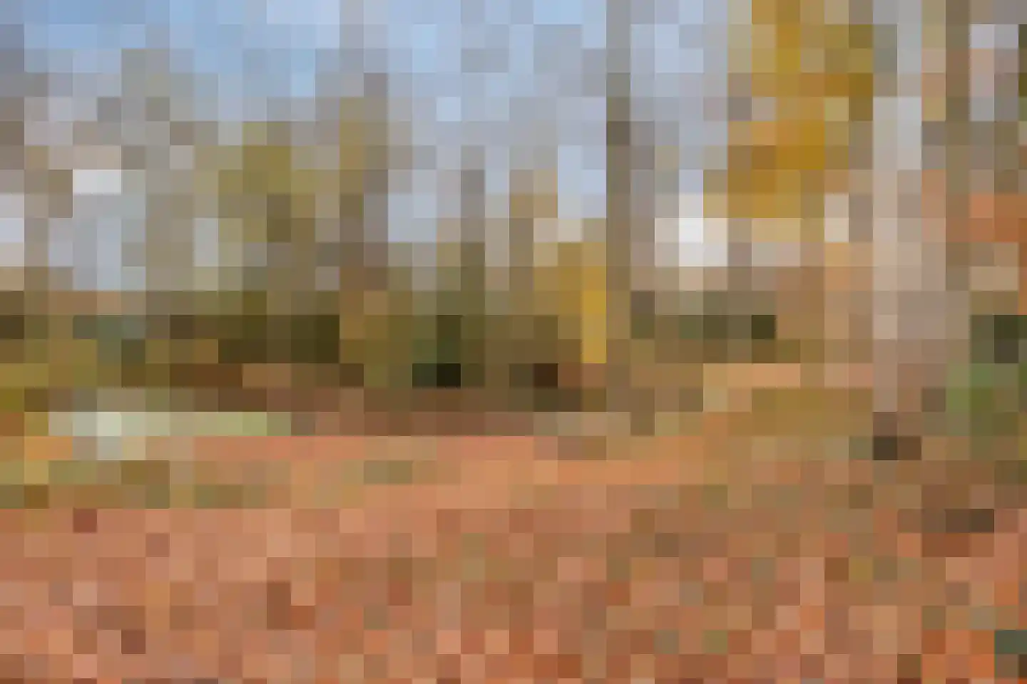 Schoutenveld 11 Oosterhout thumbnail 26