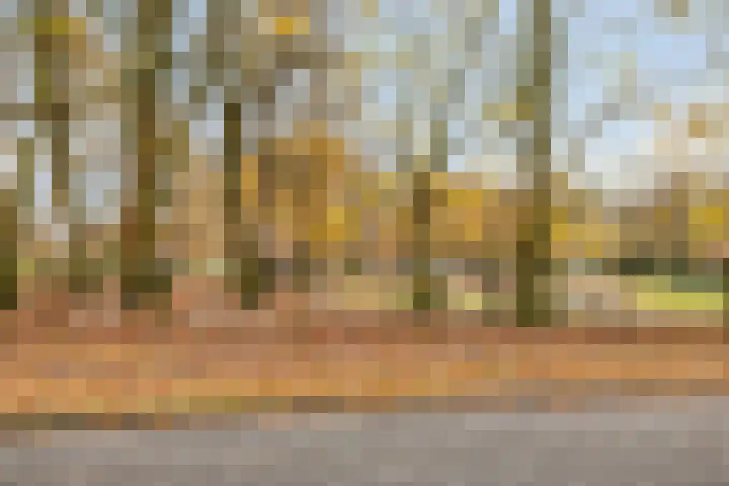 Schoutenveld 11 Oosterhout thumbnail 29