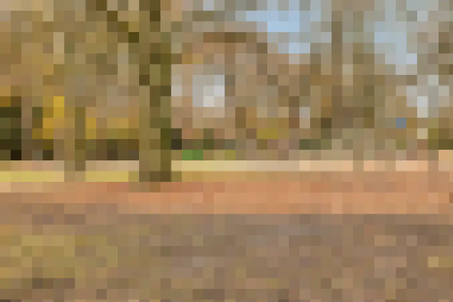 Schoutenveld 11 Oosterhout thumbnail 30