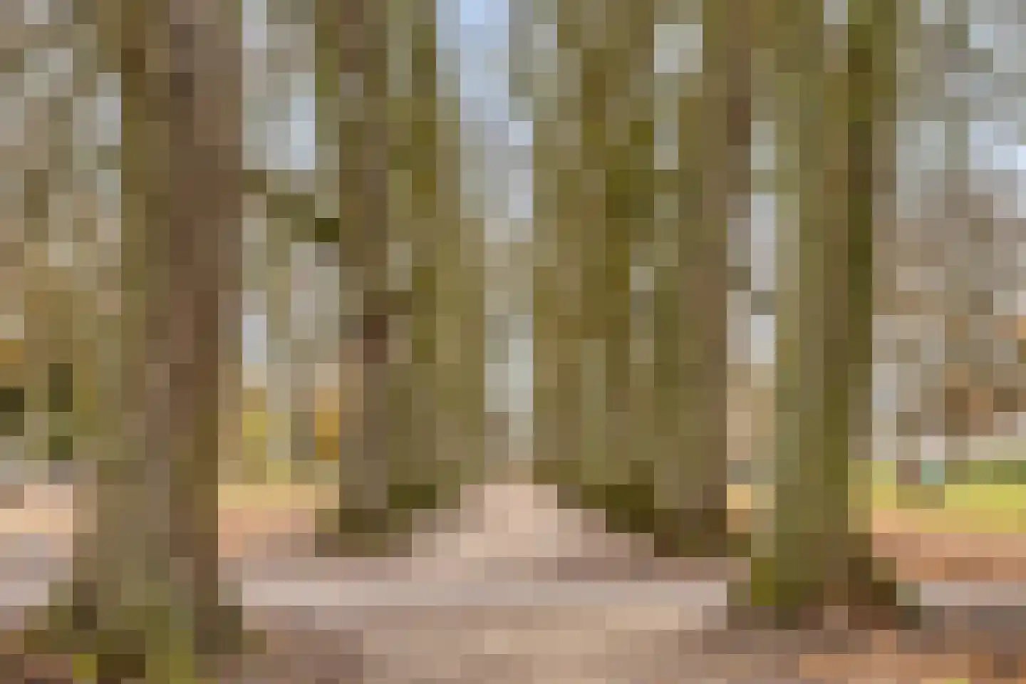 Schoutenveld 11 Oosterhout thumbnail 31