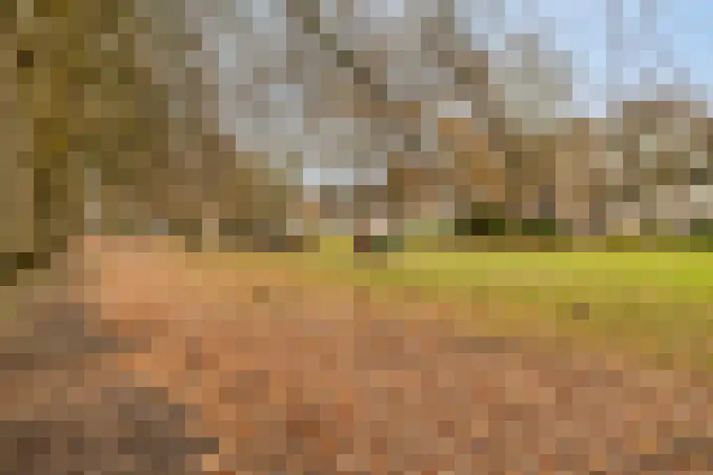 Schoutenveld 11 Oosterhout thumbnail 32