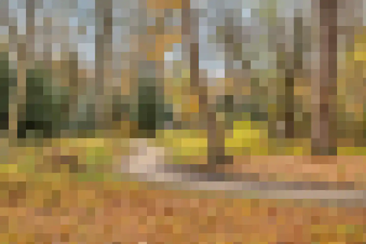 Schoutenveld 11 Oosterhout thumbnail 33