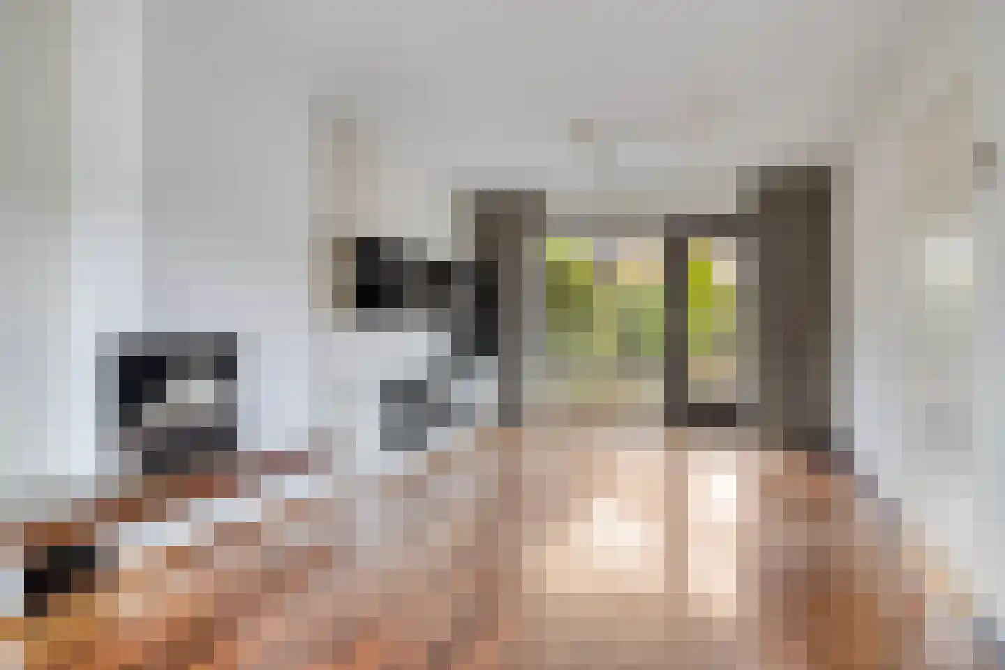 Schoutenveld 11 Oosterhout thumbnail 4