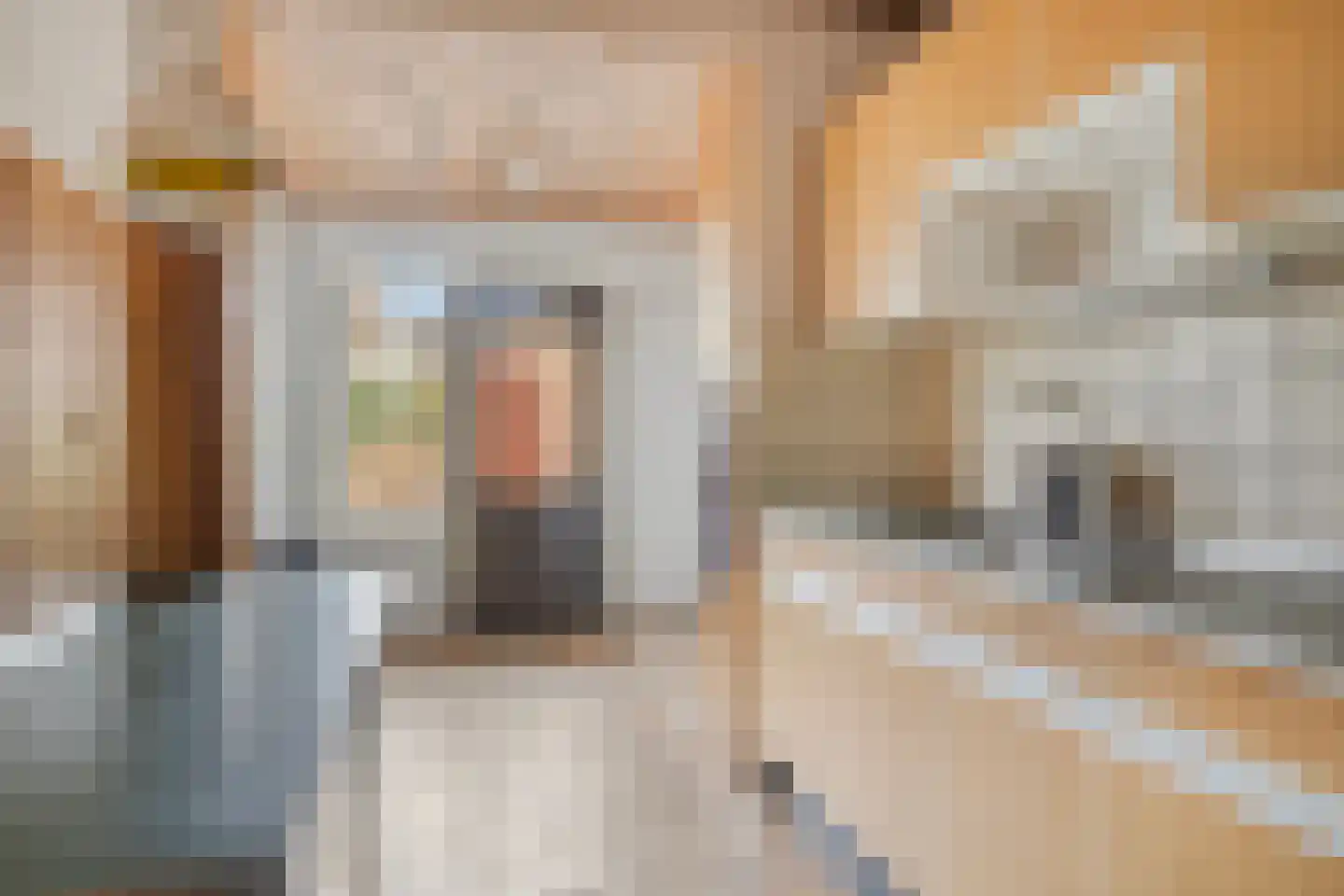 Schoutenveld 11 Oosterhout thumbnail 5