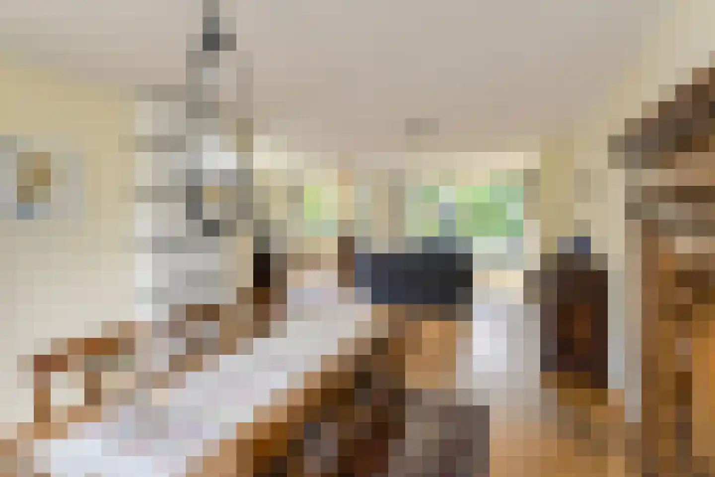 Schoutenveld 12 Oosterhout thumbnail 15