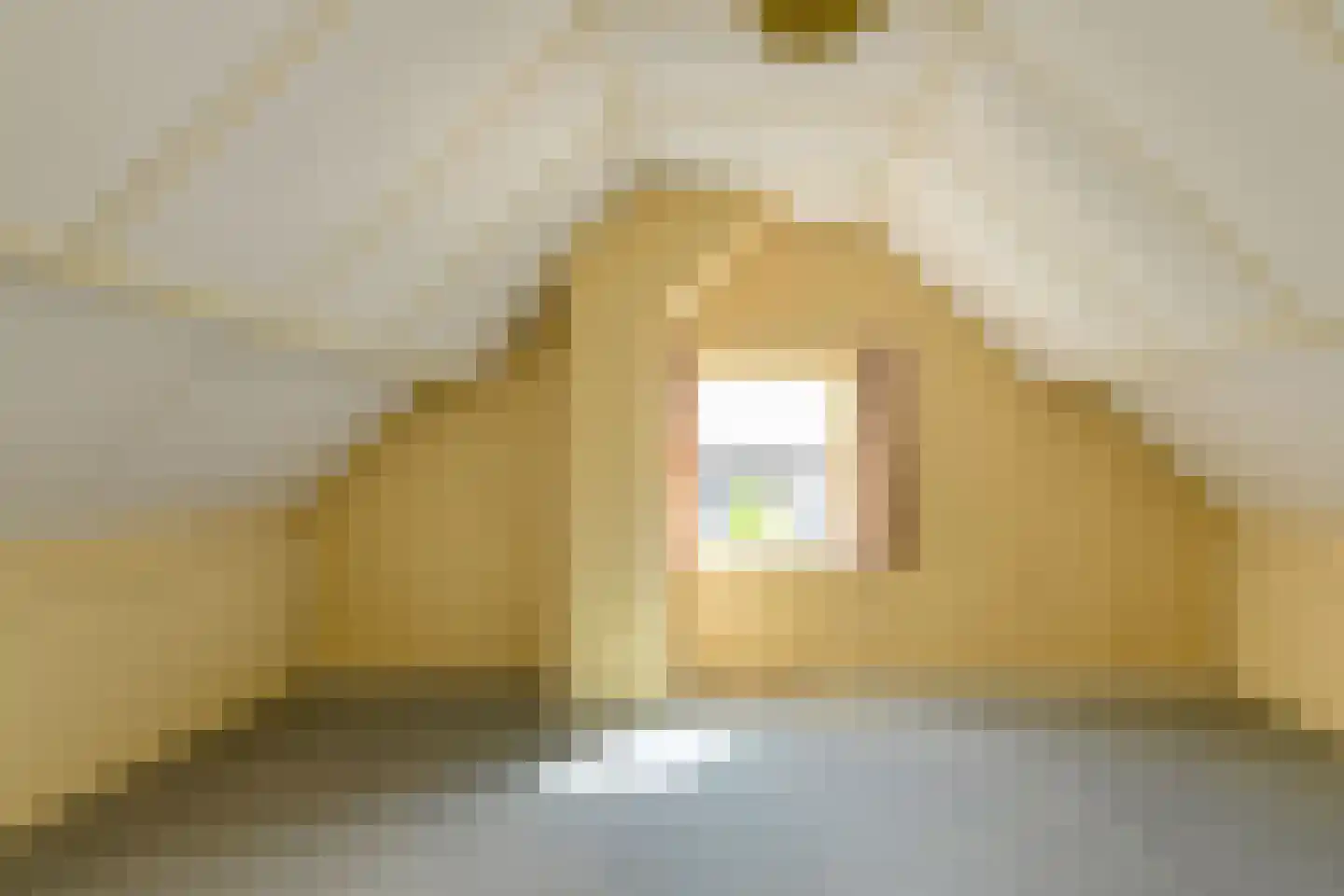 Schoutenveld 12 Oosterhout thumbnail 35