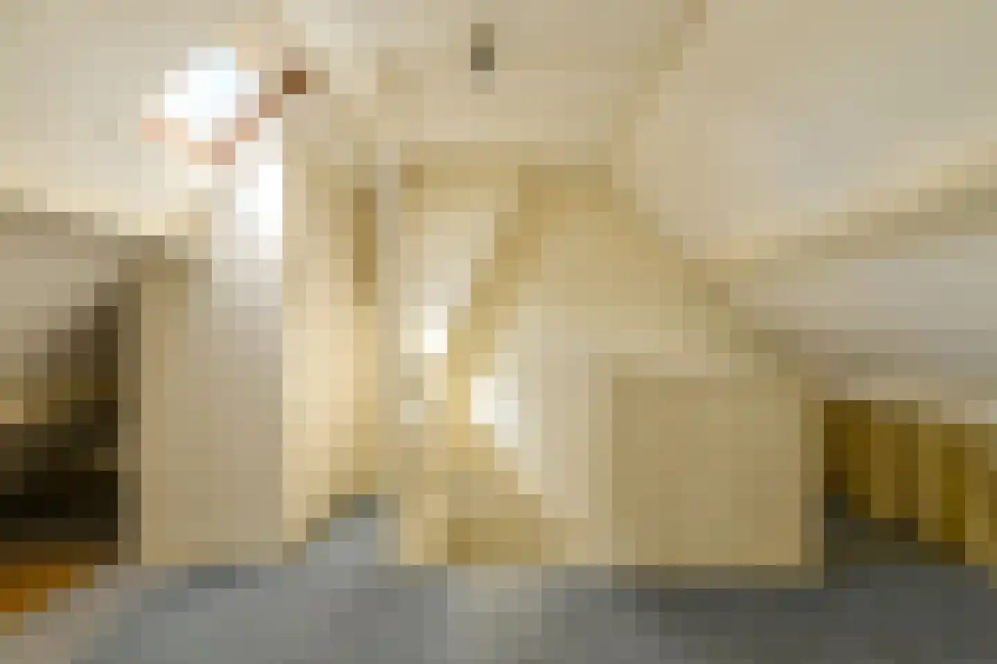 Schoutenveld 12 Oosterhout thumbnail 37