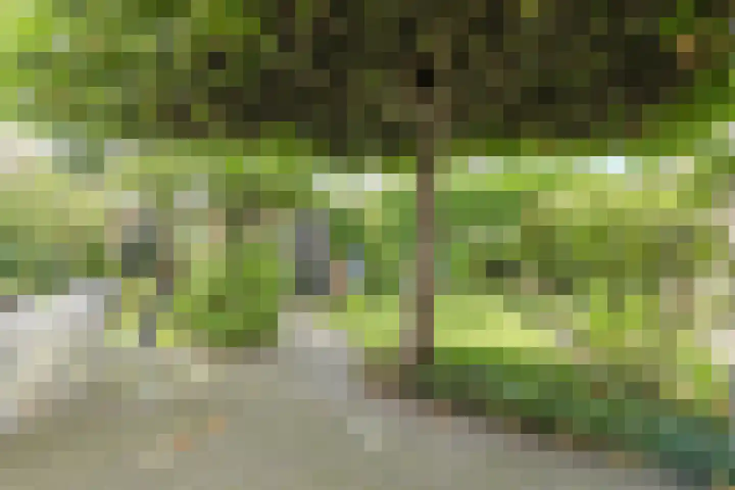 Schoutenveld 12 Oosterhout thumbnail 39