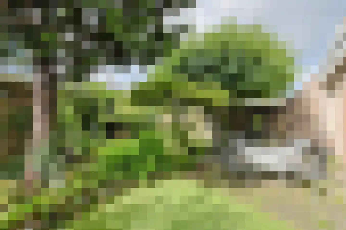 Schoutenveld 12 Oosterhout thumbnail 42