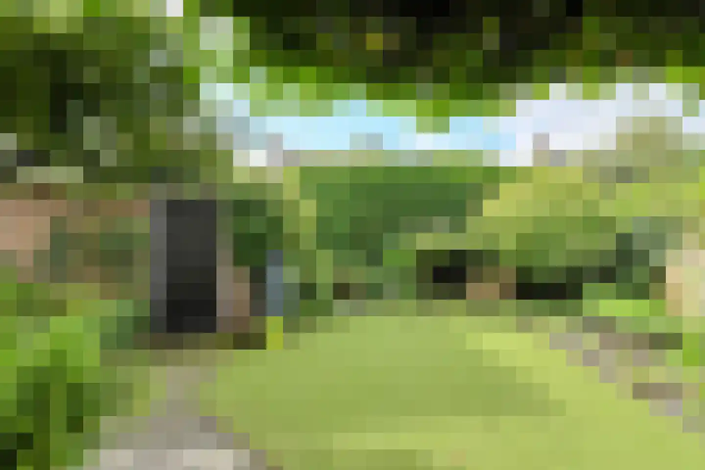 Schoutenveld 12 Oosterhout thumbnail 43