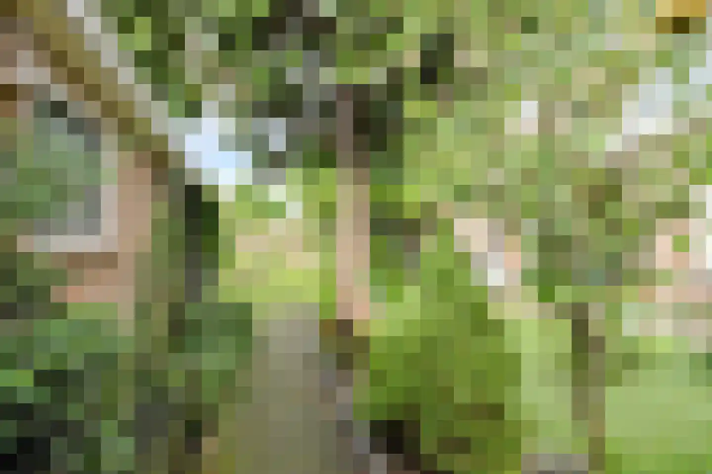 Schoutenveld 12 Oosterhout thumbnail 45