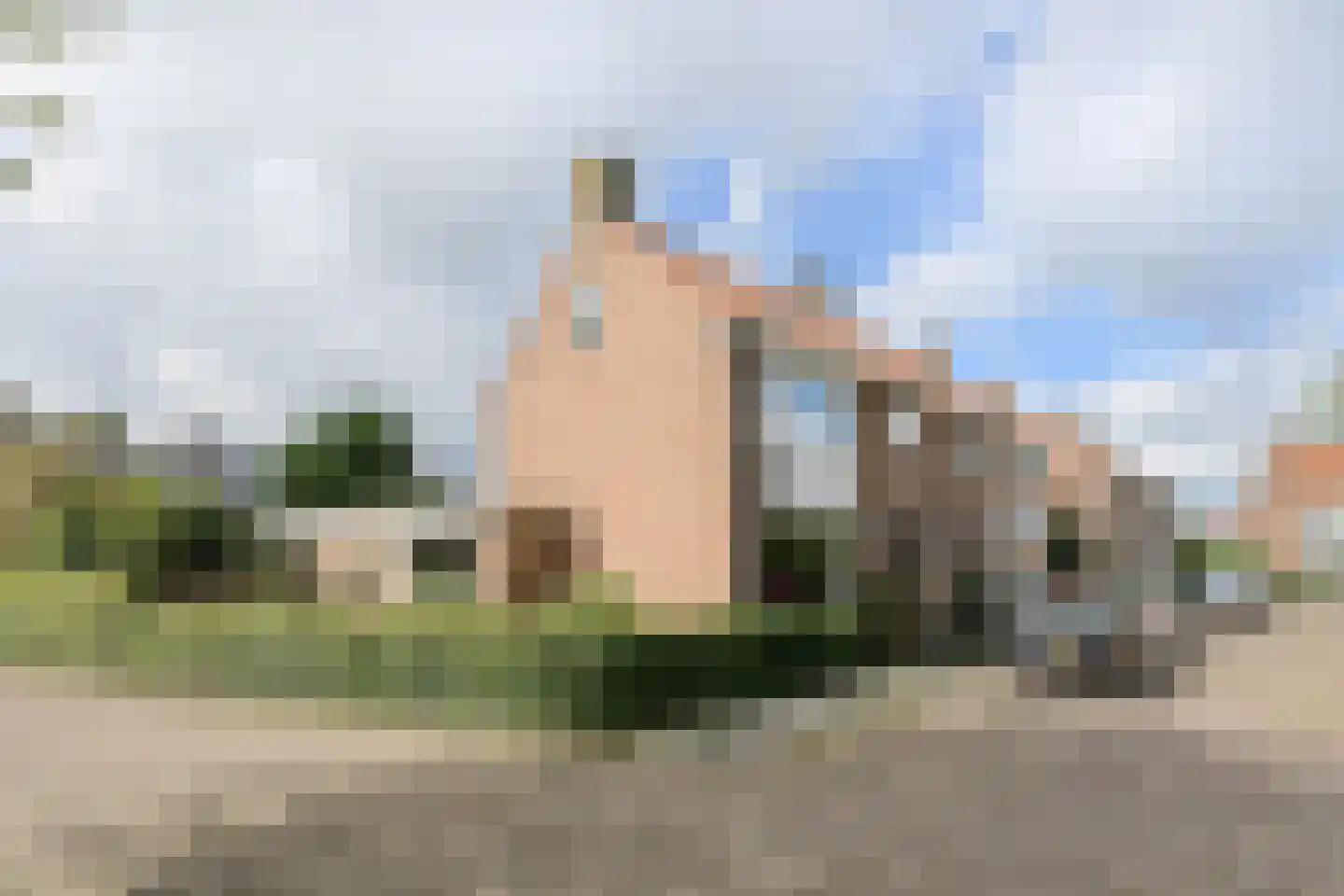 Schoutenveld 12 Oosterhout thumbnail 47