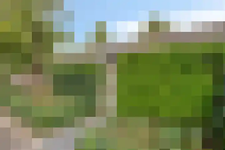 Schoutenveld 202 Apeldoorn thumbnail 30