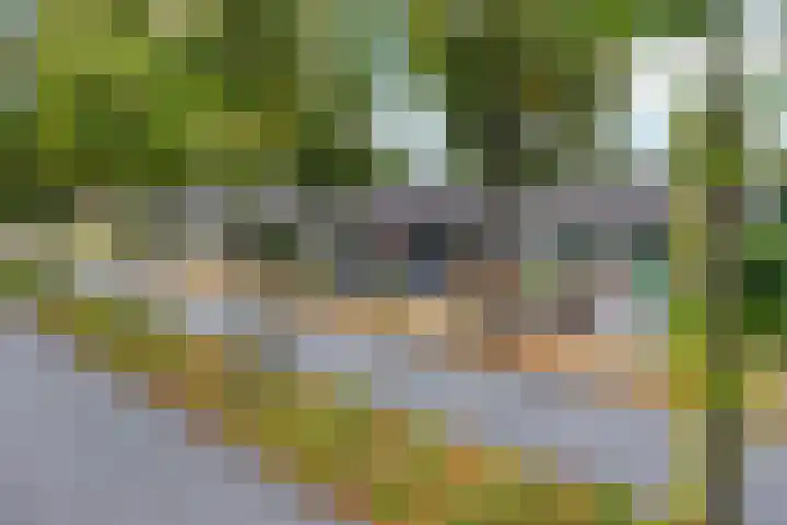 Schoutenveld 202 Apeldoorn thumbnail 33