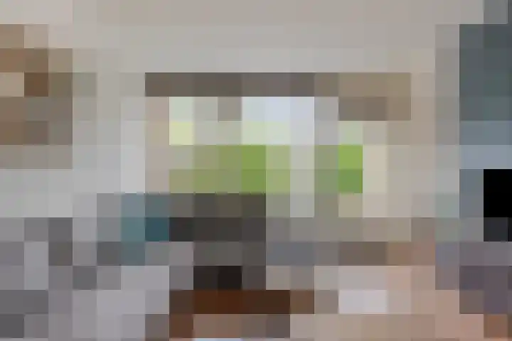 Schoutenveld 202 Apeldoorn thumbnail 7