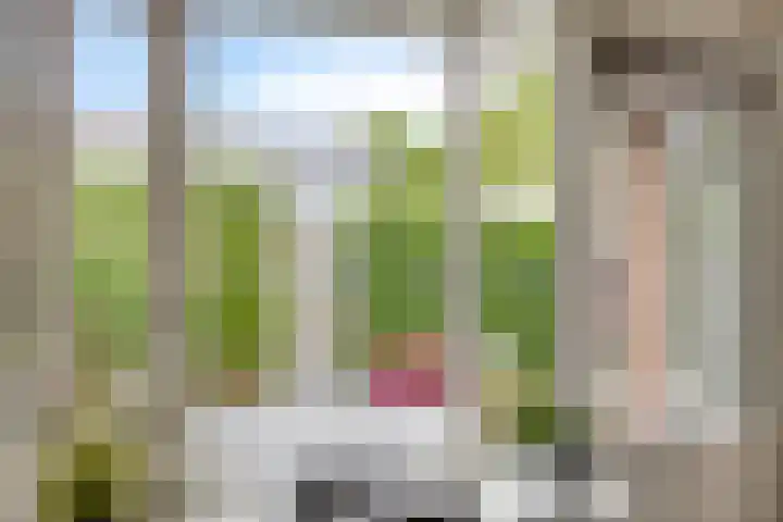 Schoutenveld 202 Apeldoorn thumbnail 9