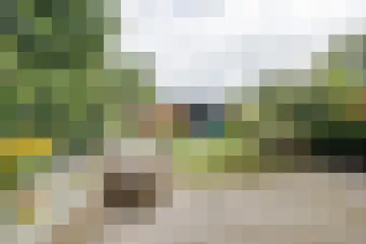 Schoutenveld 301 Apeldoorn thumbnail 34