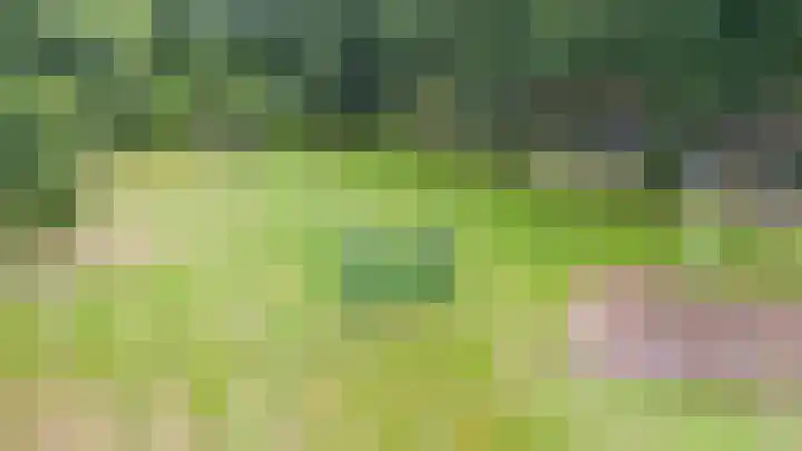 Schoutenveld 301 Apeldoorn thumbnail 46
