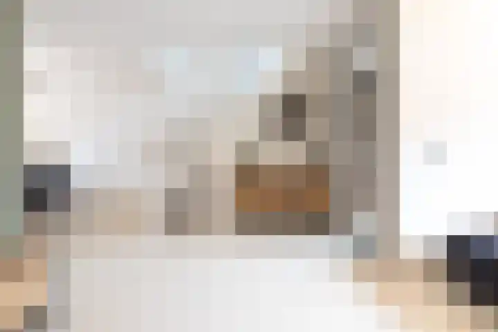 Schoutenveld 402 Apeldoorn thumbnail 9