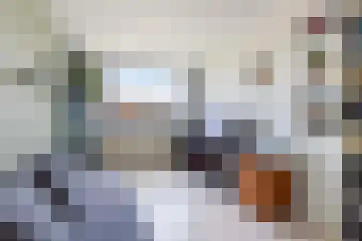 Schoutenveld 502 Apeldoorn thumbnail 22