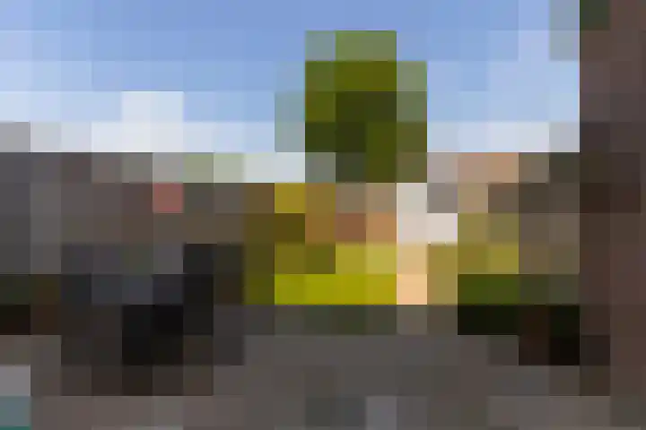 Schoutenveld 502 Apeldoorn thumbnail 31