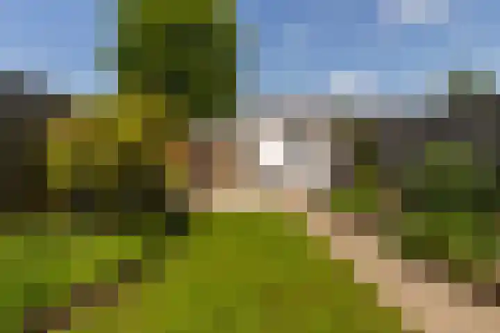 Schoutenveld 502 Apeldoorn thumbnail 32