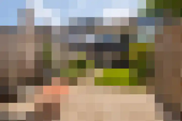Schoutenveld 502 Apeldoorn thumbnail 33