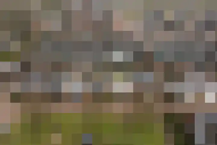 Schoutenveld 508 Apeldoorn thumbnail 30