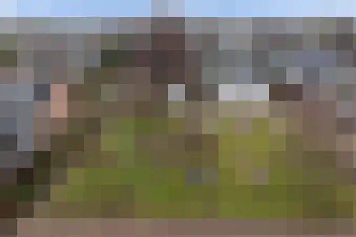 Schoutenveld 508 Apeldoorn thumbnail 31