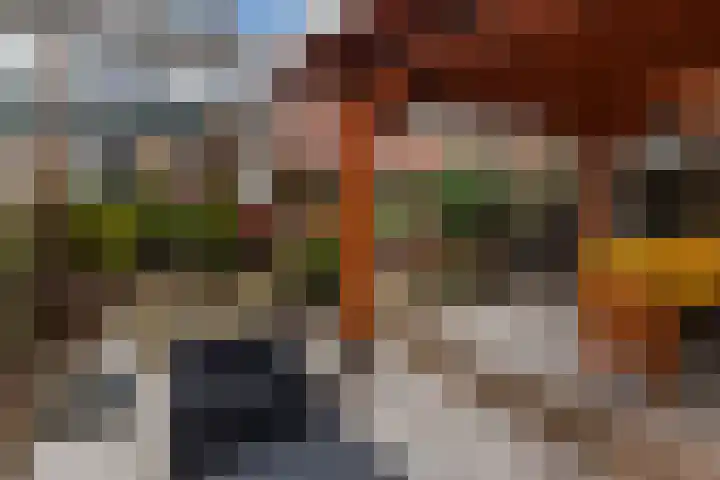 Schoutenveld 508 Apeldoorn thumbnail 4