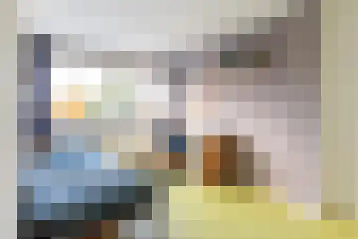 Schoutenveld 723 Apeldoorn thumbnail 20