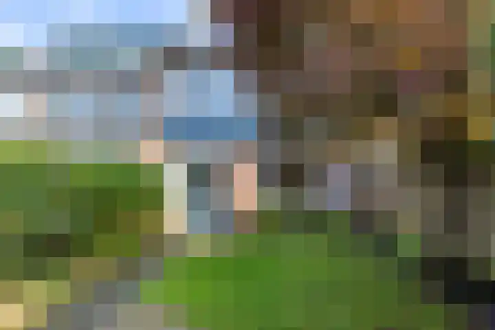 Schoutenveld 723 Apeldoorn thumbnail 28