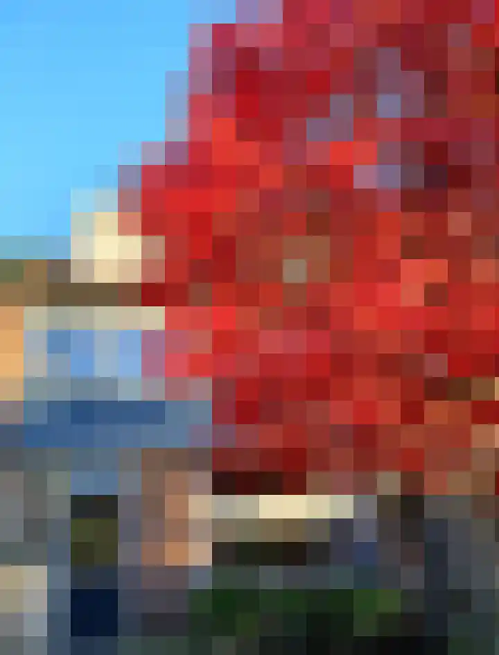 Schoutenveld 723 Apeldoorn thumbnail 30