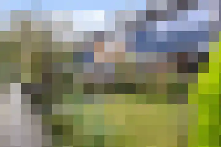 Schoutenveld 723 Apeldoorn thumbnail 35