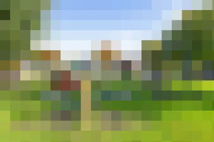 Schoutenveld 723 Apeldoorn thumbnail 37
