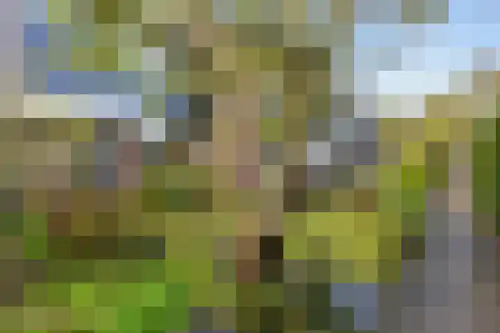 Schoutenveld 723 Apeldoorn thumbnail 38